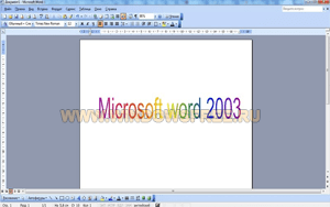 Word 2003