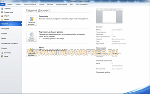 Microsoft Office 2010