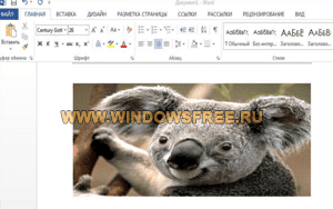 Word 2013